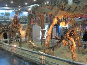 Dinosaur Exhibition Beijing