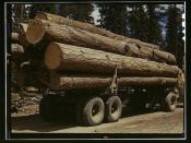Truck load of ponderosa pine, Edward Hines Lumber Co. operations in Malheur National Forest, Grant County, Oregon  (LOC)