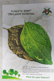 English: It is a poster by EEG, that shows effects of desertification.