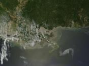 Oil Spill in Gulf of Mexico April 29th View