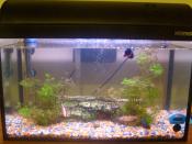 A shot of our 10 Gallon tank. Hopefully being used as an example of a personal water tank.
