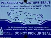 Injured Marine Mammal (805) 771-8300 Sign