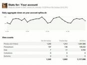 Hard Numbers of Success - Flickr Traffic Statistics Chart