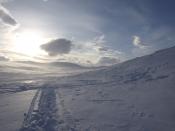 English: Tracks of skis in snow in the Sarek Nationalpark in winter