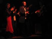 Flamenco performance by the La PrimaveraDisambiguation needed group