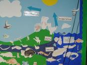 Water Cycle 5