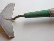 English: A weeder. The handle is about 5 feet long.