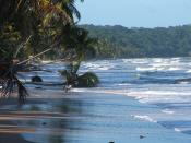 English: Mayaro Beach - Extensive Coastal Erosion