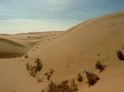 Sand dunes in Inner Mongolia Autonomous Region, China