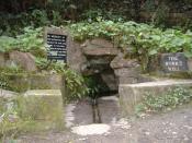 English: The Monks Well in Silverdale Glen. The water in this Well is crystal clear. During the tourist heydays of the Island, people thought this was a 'Wishing Well' and threw coins into it, providing a steady source of pocket money for the local childr