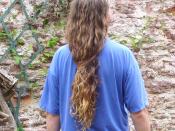 English: Male long hair in Western culture. Totnes, UK 2008 (Saturday afternoon, about tea time)