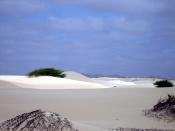 The sand desert Viana on the island of Boa Vista, Cape Verde, is surrounded by rock desert.
