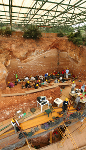 Excavations at the site of Gran Dolina, in Atapuerca (Spain), during 2008. Panoramic photography formed using 3 individual photographies with Hugin software. TD-10 archaeological level is being excavated where the most of the people are. It is a Homo heid
