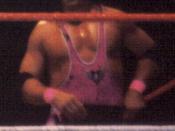English: Bret Hart at a WWF event in 1995