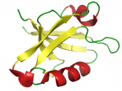 Cartoon representation of the PDZ domain of the GOPC (Golgi-associated PDZ and coiled-coil motif-containing protein) protein.