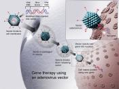 DNA vaccine and Gene therapy techniques are similar.