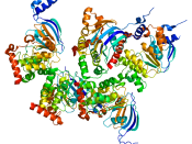 English: Structure of the CFTR protein. Based on PyMOL rendering of PDB 1xmi.