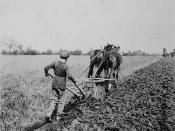 Boy ploughing at Doctor Barnardo's Industrial Farm / Un garçon labourant la terre à la ferme industrielle du Docteur Barnardo