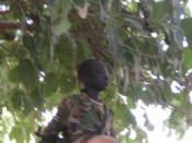 English: A Child Soldier of the Sudanese People's Liberation Army (2007) taken in Malual, Northern Bahr el Ghazal. I took this photo and release it for any use.