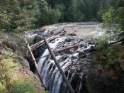 Englishman River Falls, near Errington, Vancouver Island, British Columbia in the BC Provincial Park of the same name.
