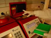 English: PCR masina tarvis on olemas stripid, kuhu saab panna korraga 8 PCR reaktsiooni käima