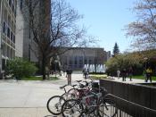 Students enjoying WMU's Main Campus on a spring day.