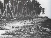 Dead Japanese soldiers on the sandbar at the mouth of Alligator Creek, Guadalcanal after the Battle of the Tenaru.