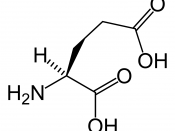 Chemical structure of Glutamic acid