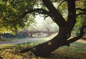 English: Central Park Bridges (view from Bridlepath looking southwest), Gothic Arch, Spanning bridlepath south of tennis courts at nort, New York City, New York County, NY