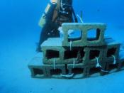 Constructing an artificial reef using concrete blocks