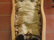 English: An Egyptian mummy kept in the Vatican Museums.