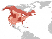 Map showing the distribution of the Bald Eagle (Haliaeetus leucocephalus).