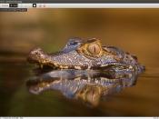 Gnome Image Viewer