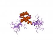 English: Cartoon representation of the molecular structure of protein registered with 1hom code. Deutsch: Grafik des Molekularstruktur von jenem Protein, das mit 1hom code registriert ist. Plattdüütsch: Grafik, de de Molekularstruktur von dat Protein wies