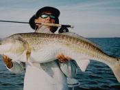 English: Saltwater Fly Fishing Guide Alec Griffin with a Louisiana Redfish.