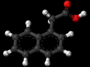 Ball-and-stick model of the 1-naphthaleneacetic acid molecule, a plant hormone in the auxin family. Colour code (click to show) : Black: Carbon, C : White: Hydrogen, H : Red: Oxygen, O