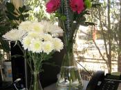 Erlenmeyer flask vases with flowers