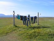 From en.wiki: Washing Line in Iceland. Taken by myself in July 2005. – drw25 (talk) 16:20, 29 September 2006 (UTC)