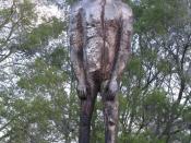 Wooden Yowie statue in Kilcoy, Queensland, Australia.