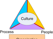 Organization Triangle