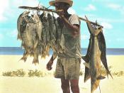 Fisherman and his catch, Seychelles. The fishes in this catch, including small sharks, were hooked on hand lines many miles off shore.