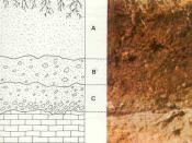 Example soil horizons. a) top soil and colluvium b) mature residual soil c) young residual soil d) weathered rock.