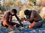 Bushmen in Deception Valley, Botswana demonstrating how to start a fire by rubbing sticks together.