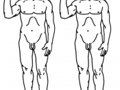 two identical men, modified version of Image:Human.png, original work of the NASA