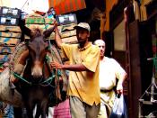 A mule weighed down with goods in the medina (Fes, Morocco). Fuji F11 Camera at ISO 200.