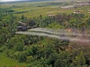 Vietnam. Defoliation Mission. A UH-1D helicopter from the 336th Aviation Company sprays a defoliation agent on agricultural land in the Mekong delta