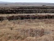 English: Near Loch Nuala Blanket bog with evidence of previous turf cutting covers much of the square.