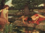 Echo and Narcissus (1903), a Pre-Raphaelite interpretation by John William Waterhouse