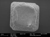 An image of a grain of table salt taken using a scanning electron microscope.