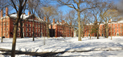 English: Harvard Yard winter 2009.